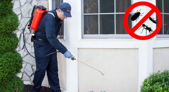 Gevaş Akrep İlaçlama böcek ilaçlama ve haşere kontrolü — ilaclama-tr.com